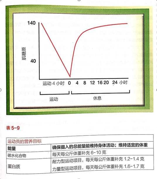 kems详解_肌纤维增生